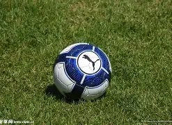 山西汾酒主,场惊险击败,辽宁本钢,皇冠体育app下载,皇冠体育官网,澳门皇冠体育,bet皇冠体育在线