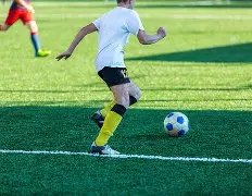 勇者归来,复仇火焰燃,森林狼激战,皇冠体育app下载,皇冠体育官网,澳门皇冠体育,bet皇冠体育在线